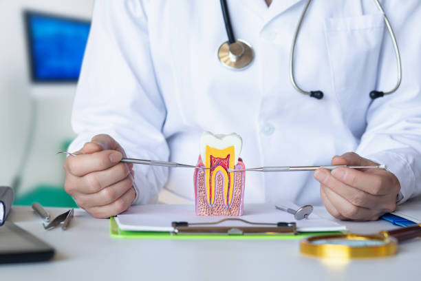 Best Cracked Tooth Emergency Dentist  in Arcola, IL